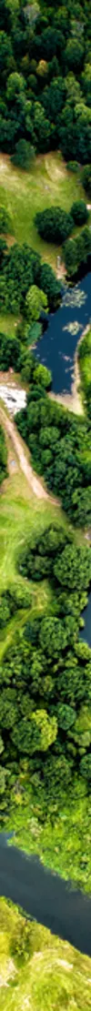 Tracking  net zero financing in the UK economy